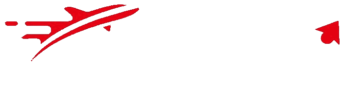 SkyBi Logistik